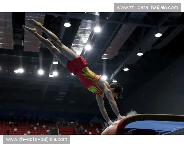 体操比分——让每一次腾跃都有数据为证
